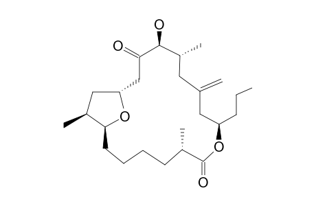 AMPHIDINOLODE-T1