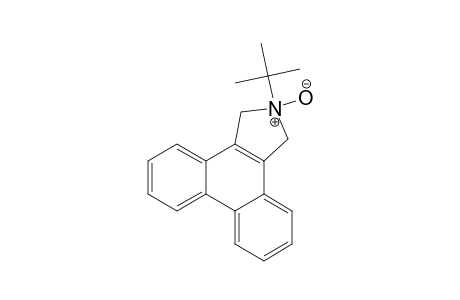 2-(t-butyl)-2,3-dihydro-1H-dibenzo[e,g]isoindol-N-oxide