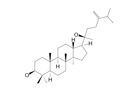 FOLIASALACIN-A4