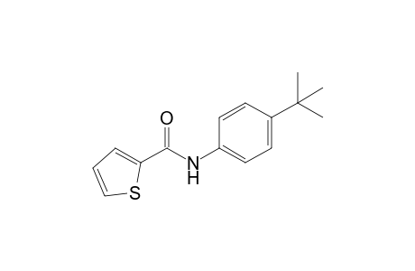 4'-tert-butyl-2-thiophenecarboxanilide