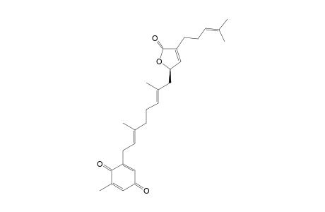 YEZOQUINOLIDE