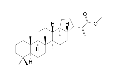 TUBEROSIC-METHYLESTER