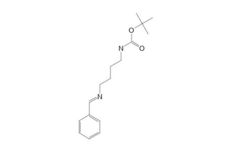 [4-(BENZYLIDENE-AMINO)-BUTYL]-CARBAMIC-ACID-TERT.-BUTYLESTER