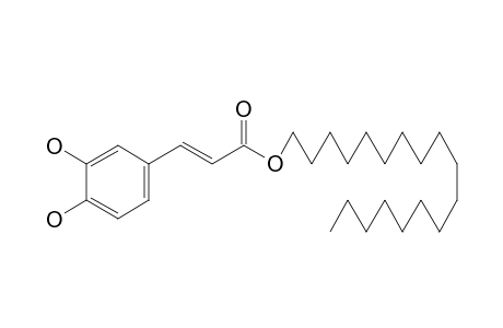 OCTADECANOYL_CAFFEATE