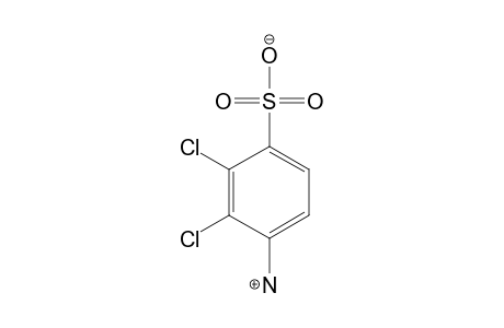 2,3-DICHLOROSULFANILIC ACID