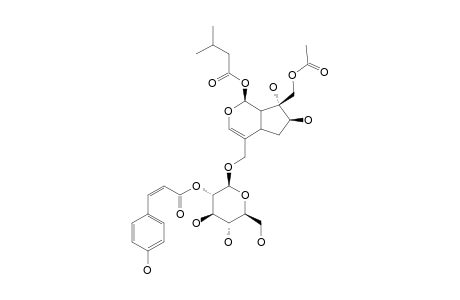 VIBRUTINOSIDE-III