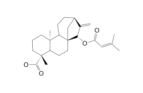 15-A-SENECIOYLOXY-ENT-KAUR-16-EN-19-OIC_ACID