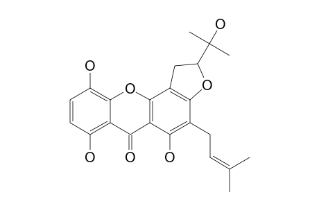 MORUSIGIN-F