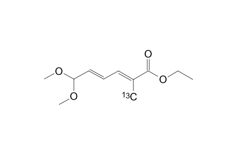 (7-(C-13))-ETHYL-6,6-DIMETHOXY-2-METHYLHEXA-2,4-DIENOATE