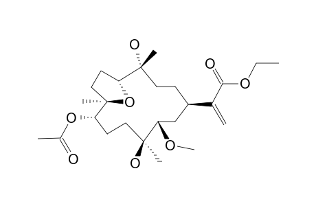 DENDRONPHOLIDE_N