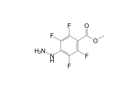 4-hydrazino-2,3,5,6-tetrafluorobenzoic acid, methyl ester