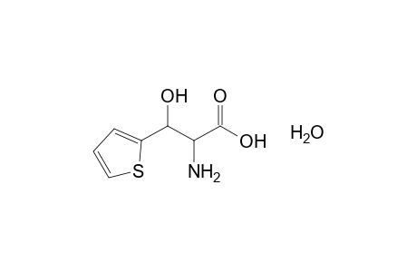 alpha-AMINO-2-THIOPHENEHYDRACRYLIC ACID, MONOHYDRATE