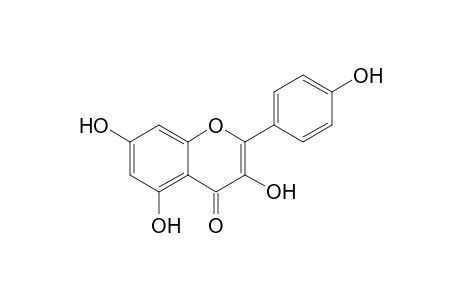 Kaempferol