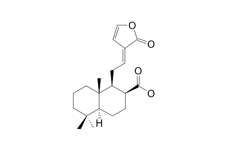 (E)-LABDA-12,14-DIEN-15(16)-OLIDE-17-OIC-ACID