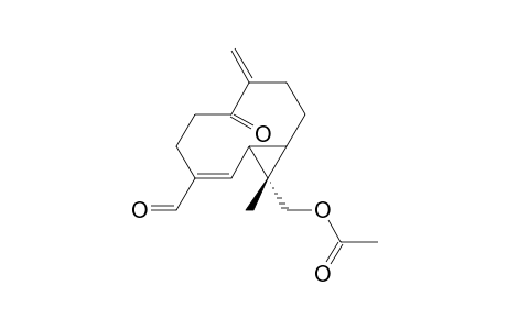 Madolin D