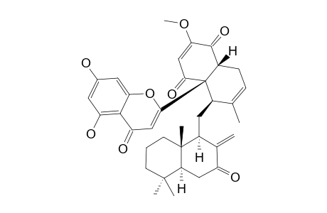 DICHROSTACHINE_L