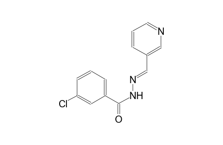 3-chloro-N'-[(E)-3-pyridinylmethylidene]benzohydrazide