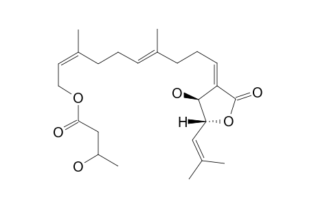 HANLIUIN-IV