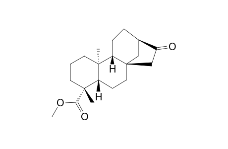 METHYL-ENT-16-OXO-17-NORKAURAN-19-OATE