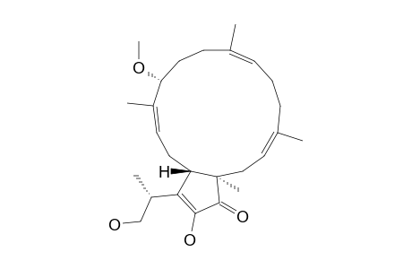 11-O-METHYL-TERPESTACIN