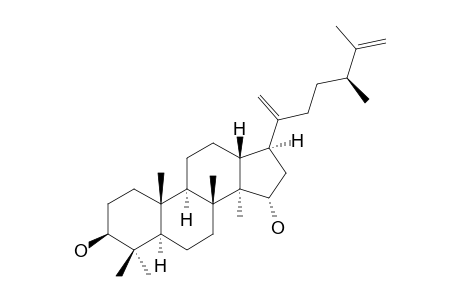 FOLIASALACIN-A3