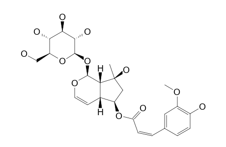 6-O-CIS-FERULOYLAJUGOL