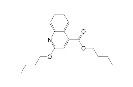 2-Butoxy-4-quinolinecarboxylic acid butylester