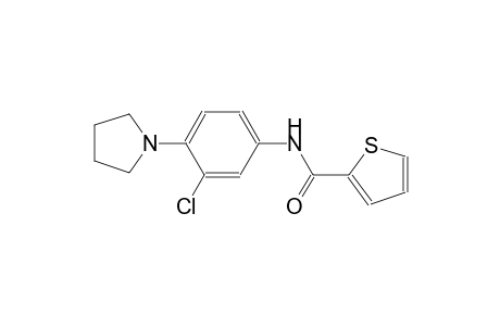 2-thiophenecarboxamide, N-[3-chloro-4-(1-pyrrolidinyl)phenyl]-