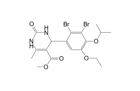 methyl 4-(2,3-dibromo-5-ethoxy-4-isopropoxyphenyl)-6-methyl-2-oxo-1,2,3,4-tetrahydro-5-pyrimidinecarboxylate