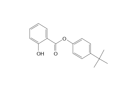 4-tert-BUTYLPHENYL SALICYLATE