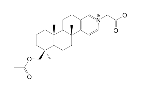 SPONGIDINE-B