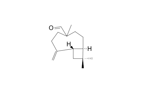 (1R,9S)-4-FORMYL-8-METHYLENE-4,11,11-TRIMETHYL-BICYCLO-[6,2,0]-DECANE