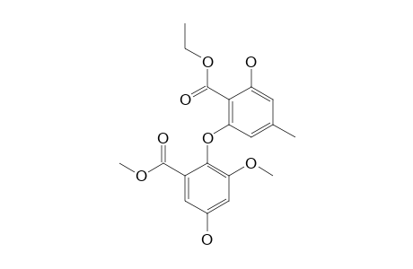 ETHYL_ASTERRATE