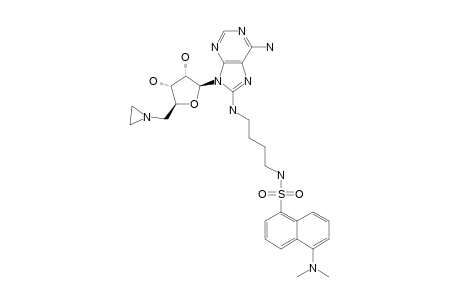 8-AMINO-[1''-(N''-DANSYL)-4''-AMINOBUTYL]-5'-(1-AZIRIDINYL)-5'-DEOXYADENOSINE