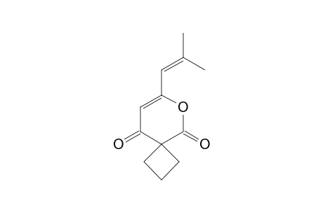 7-(2-METHYL-1-PROPENYL)-6-OXASPIRO-[3.5]-NON-7-EN-5,9-DIONE