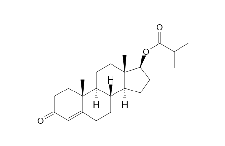 Testosterone isobutyrate