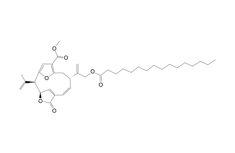 LIPIDYL_PSEUDOPTERANE_E