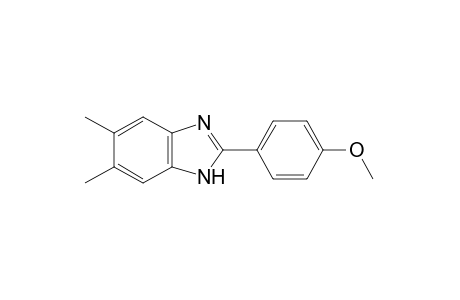 5,6-dimethyl-2-(p-methoxyphenyl)benzimidazole