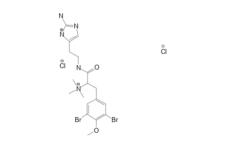 PSEUDOCERATININE-B