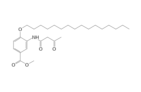 3-acetoacetamido-4-(hexadecyloxy)benzoic acid, methyl ester