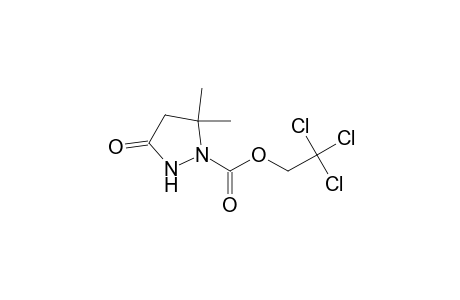 1-Pyrazolidinecarboxylic acid, 5,5-dimethyl-3-oxo-, 2,2,2-trichloroethyl ester