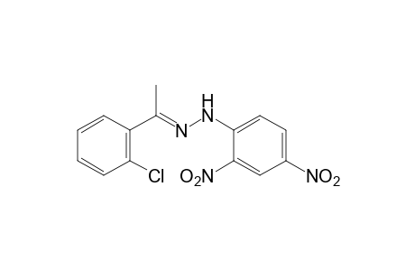 2'-chloroacetophenone, (2,4-dinitrophenyl)hydrazone