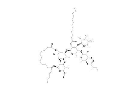 MURUCOIDIN_VI