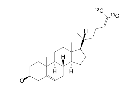 [26,27-(13)-C-(2)]-CHOLESTEROL-24-ENE