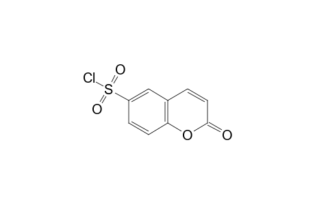 Coumarin-6-sulfonyl chloride