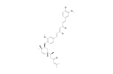 TERPECURCUMIN_D