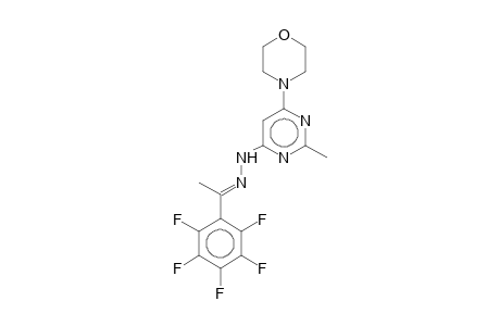 (2-methyl-6-morpholino-pyrimidin-4-yl)-[(E)-1-(2,3,4,5,6-pentafluorophenyl)ethylideneamino]amine