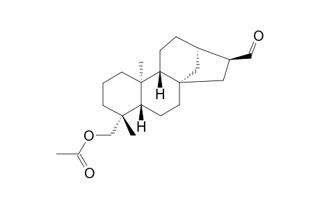 ANNOGLABASIN-G;16-ALPHA-HYDRO-19-ACETOXY-ENT-KAURAN-17-AL