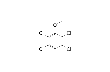 2,3,5,6-Tetrachloroanisole