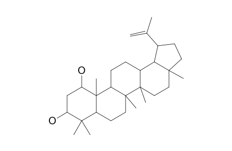 Glochidiol